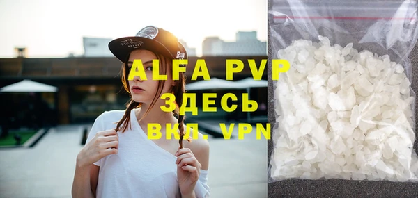 хмурый Арсеньев