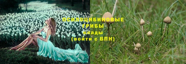 каннабис Баксан