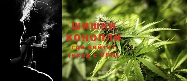 стафф Семилуки
